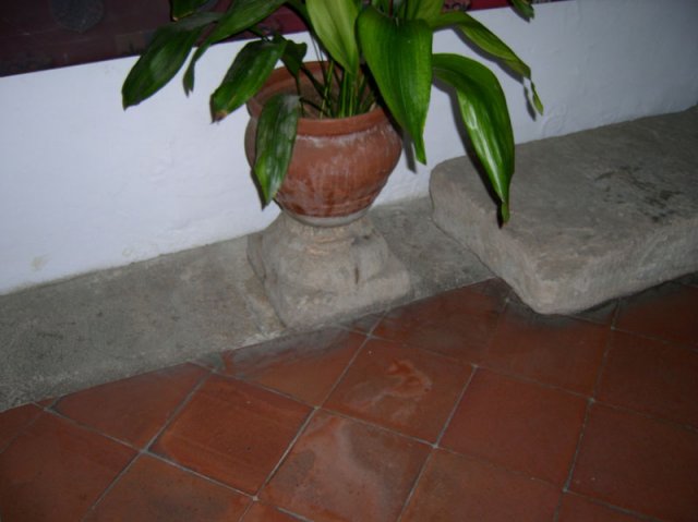 entradapalaciofucares13